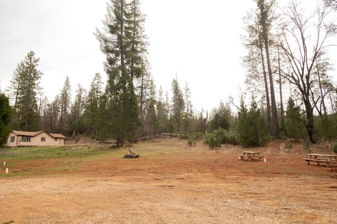 Photo of Others in Groveland
