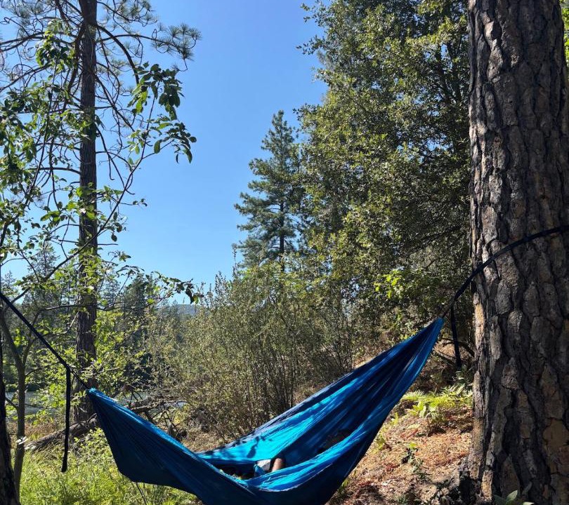 Photo of Outdoor in North Fork