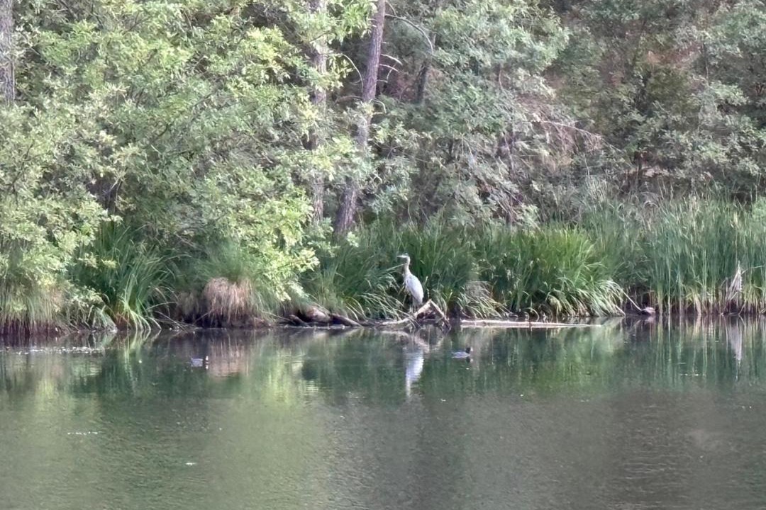 Photo of Others in North Fork