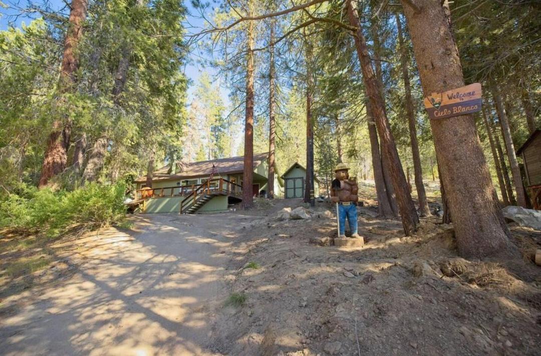 Photo of Others in Ponderosa