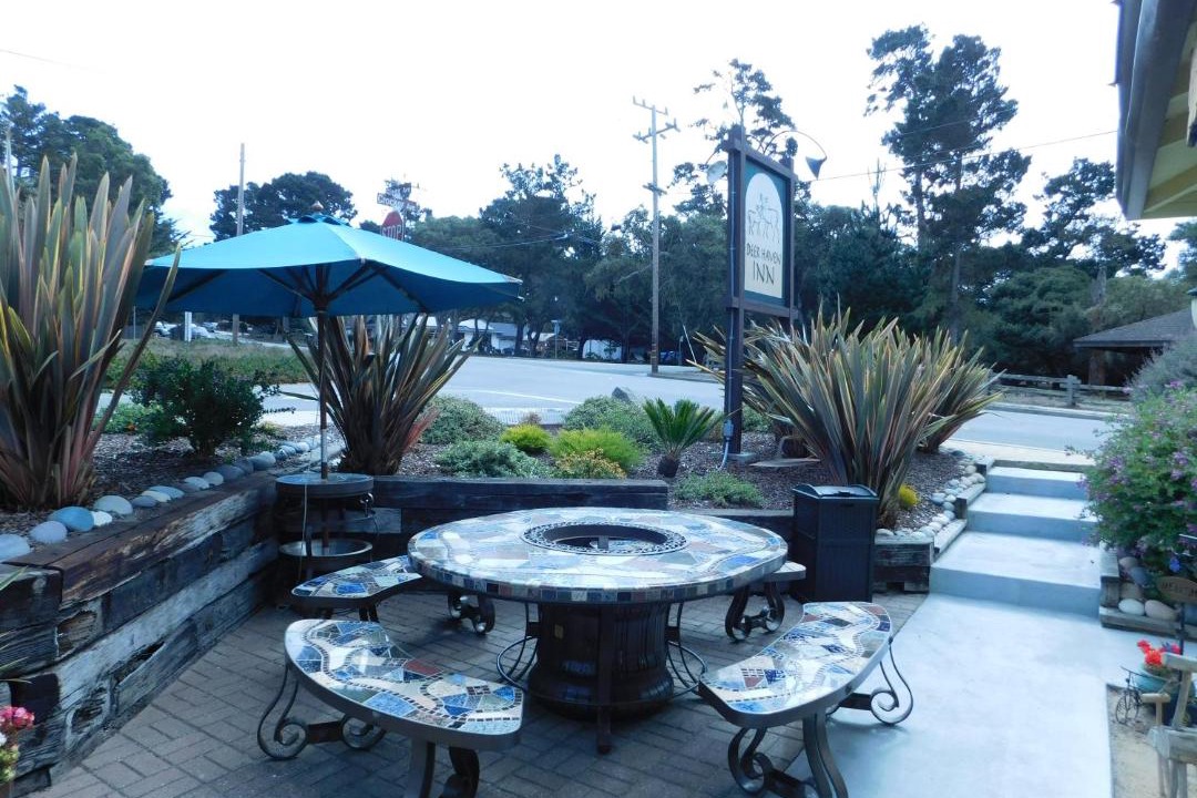 Photo of Others in Pacific Grove