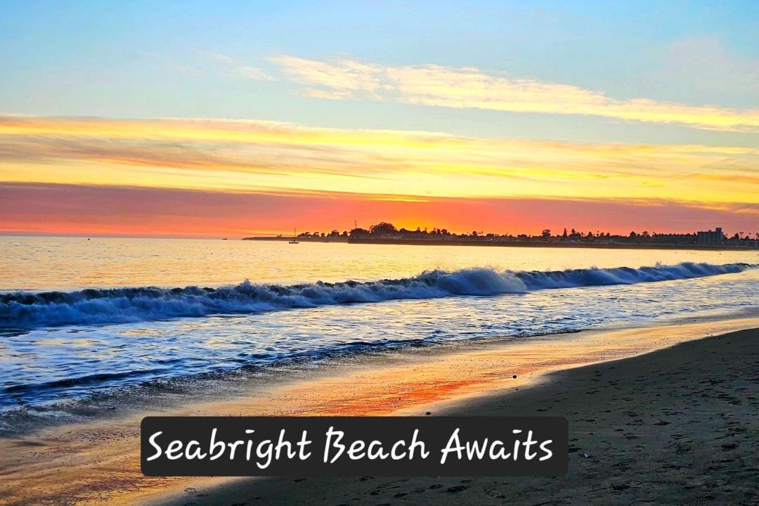 Photo of Others in Seabright
