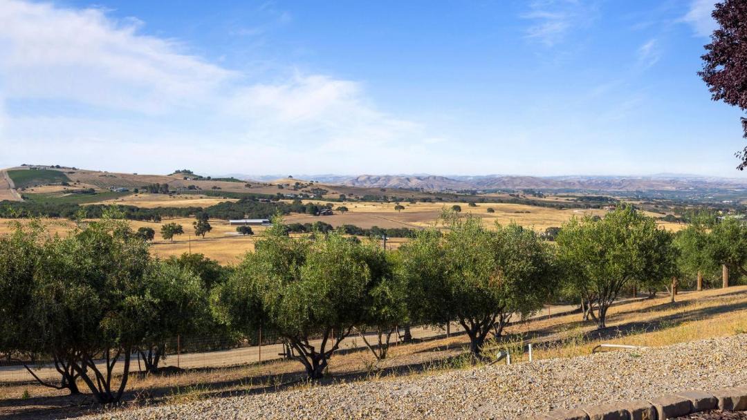 Photo of Others in Paso Robles