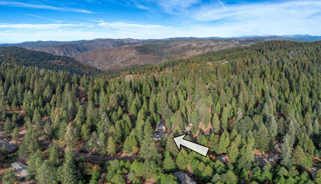 Photo of Others in Pollock Pines