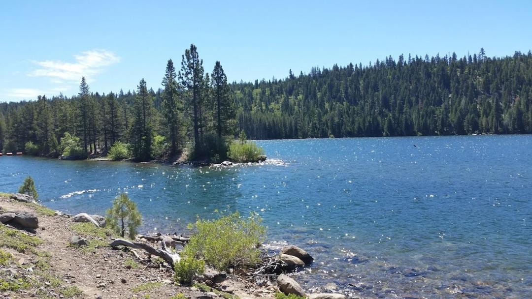 Photo of Others in Pollock Pines