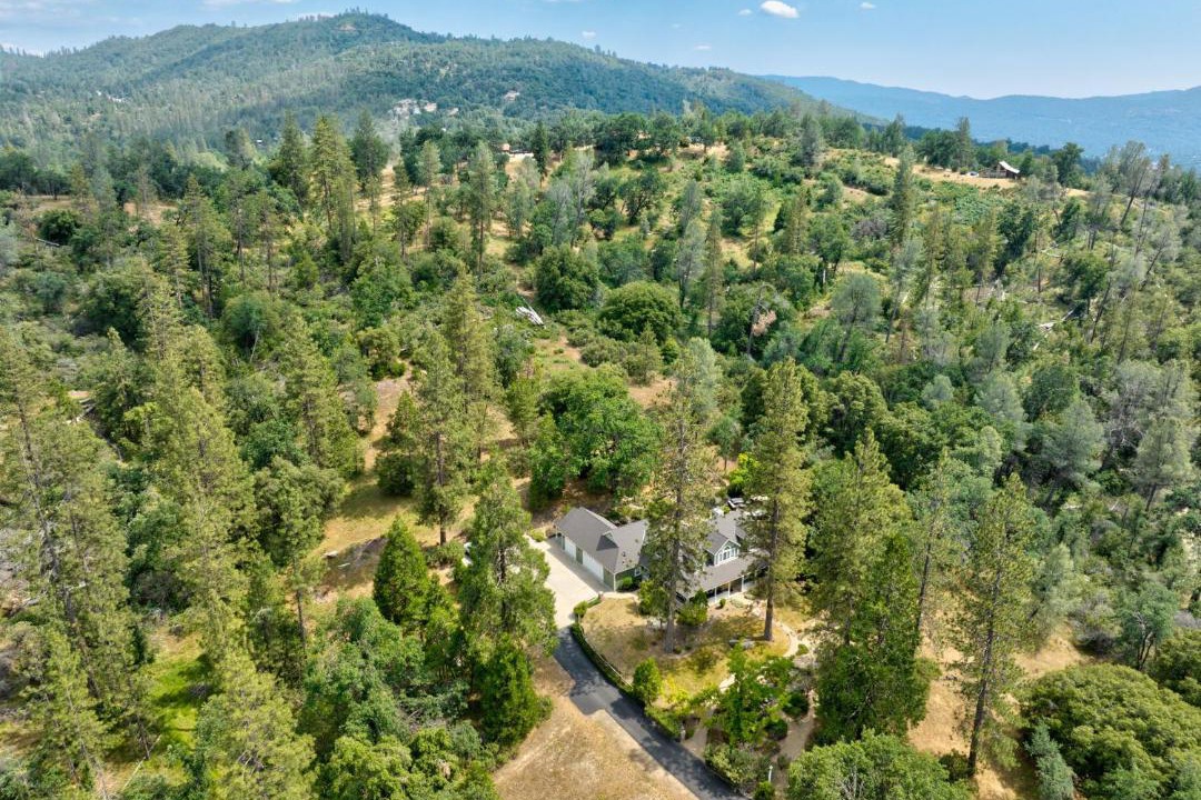 Photo of Others in Yosemite Forks