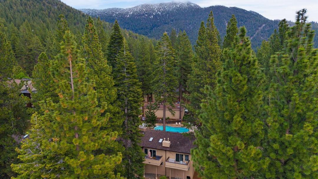 Photo of Others in Incline Village