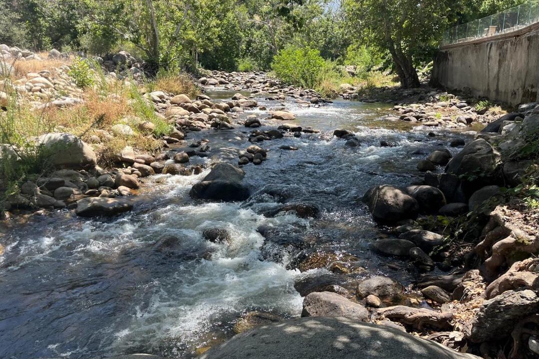 Photo of Others in Three Rivers