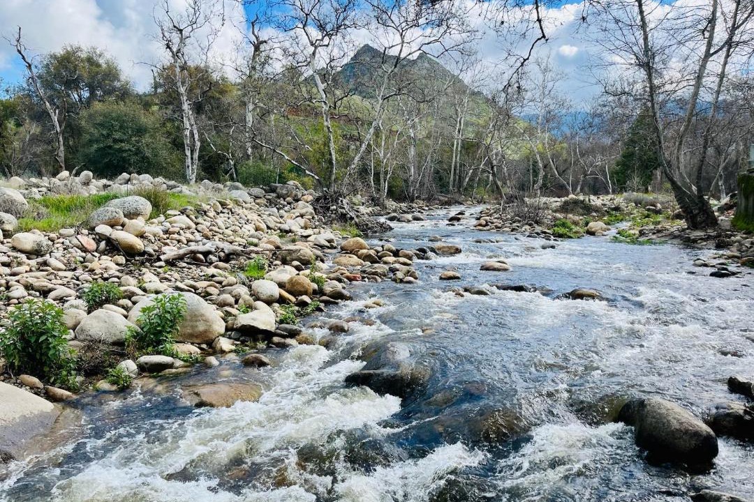 Photo of Others in Three Rivers