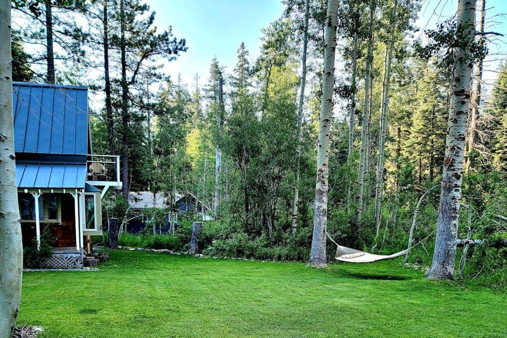 Photo of Others in Tahoe Pines