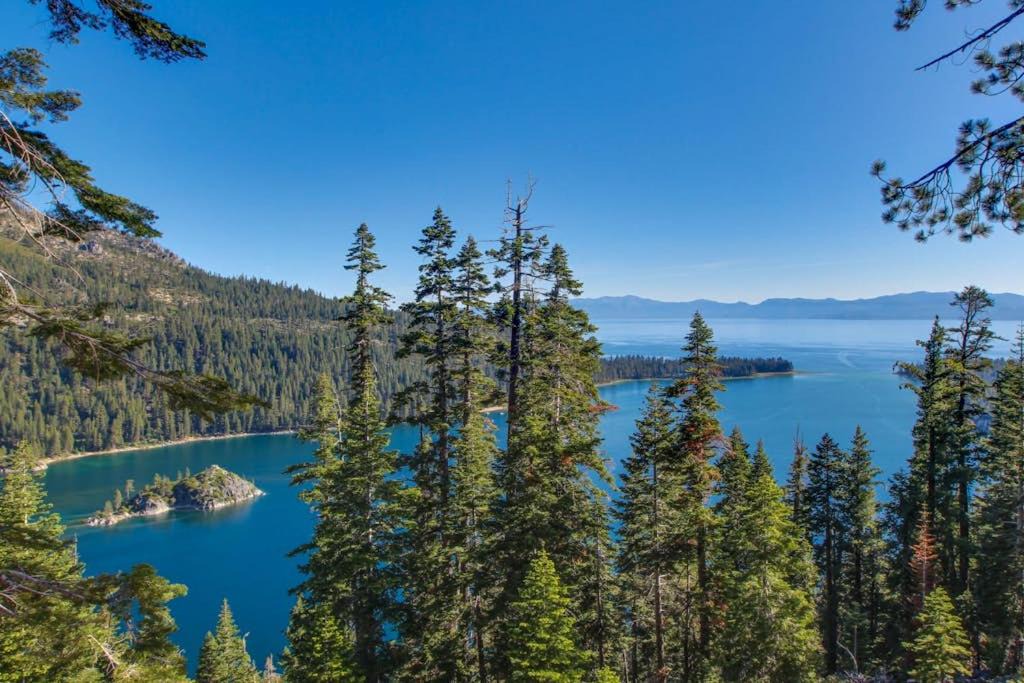 Photo of Others in Tahoe Paradise