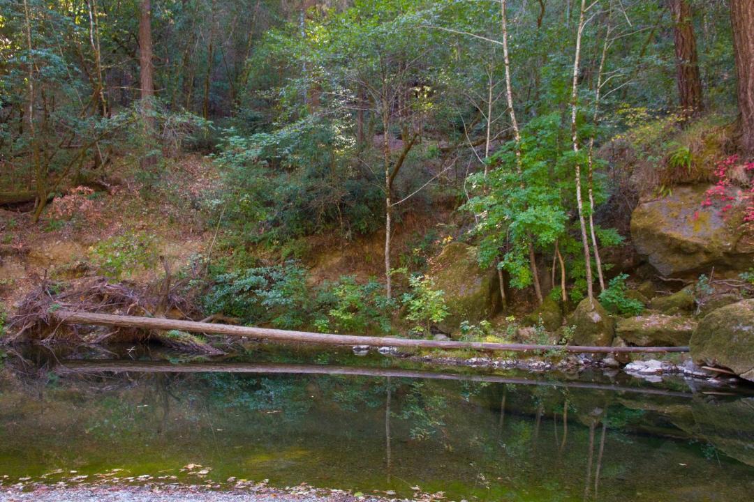 Photo of Others in Cazadero