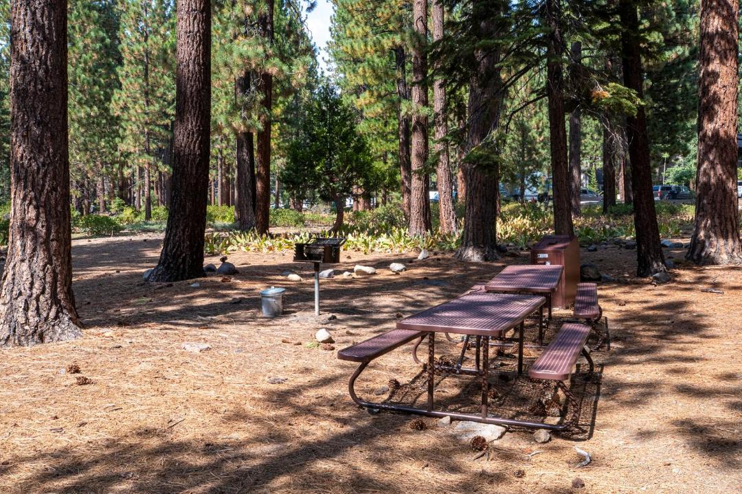 Photo of Others in Incline Village