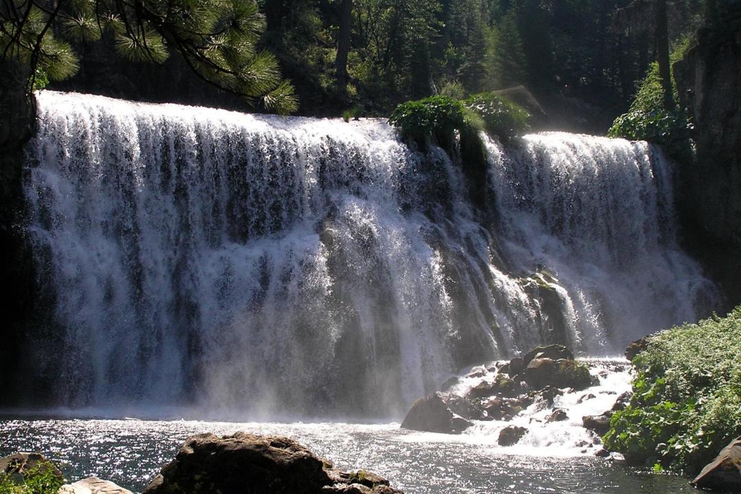 Photo of Others in McCloud