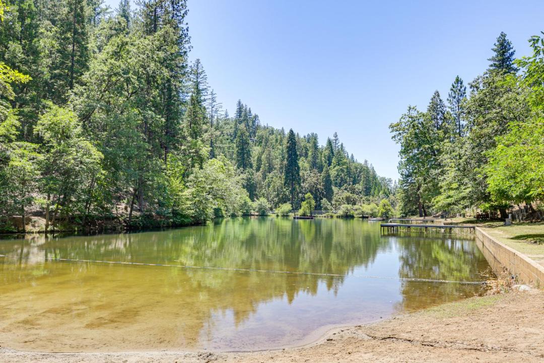 Photo of Others in Phoenix Lake-Cedar Ridge