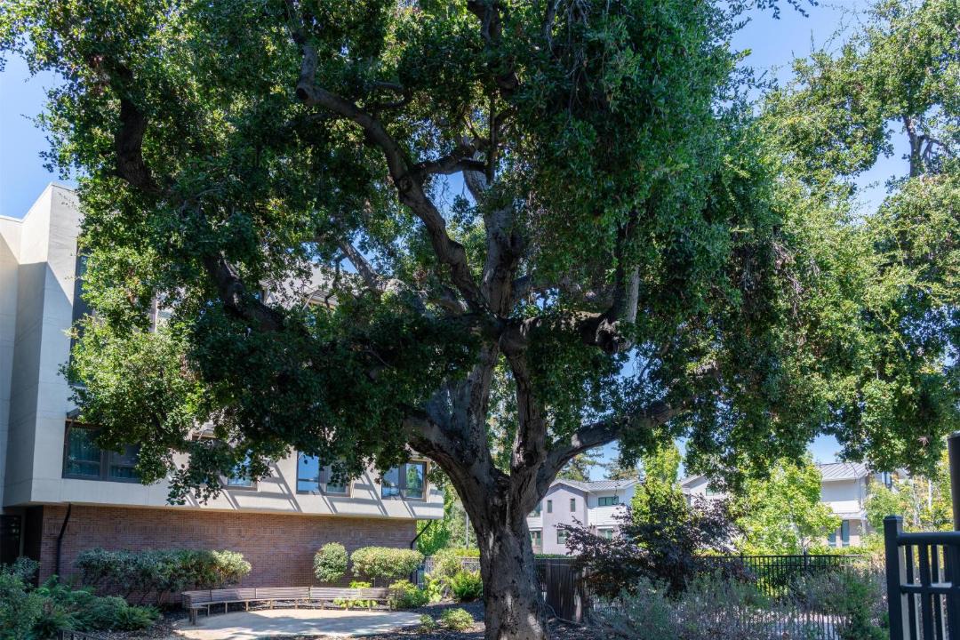Photo of Others in Palo Alto