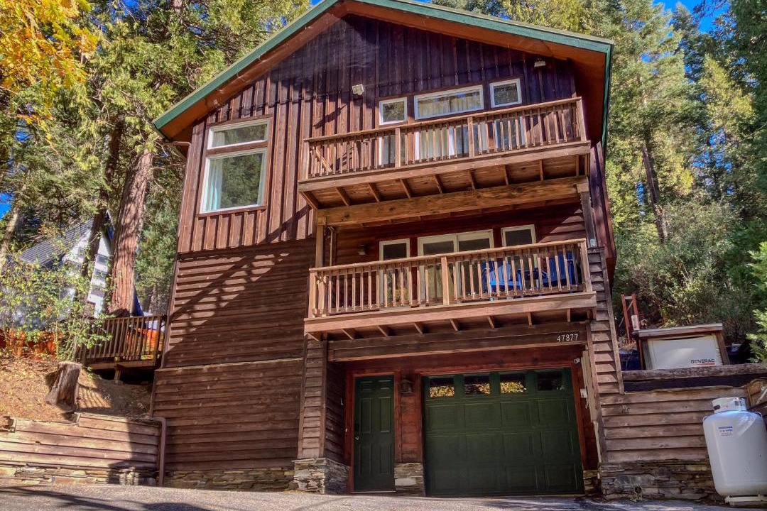 Photo of Others in Sugar Pine