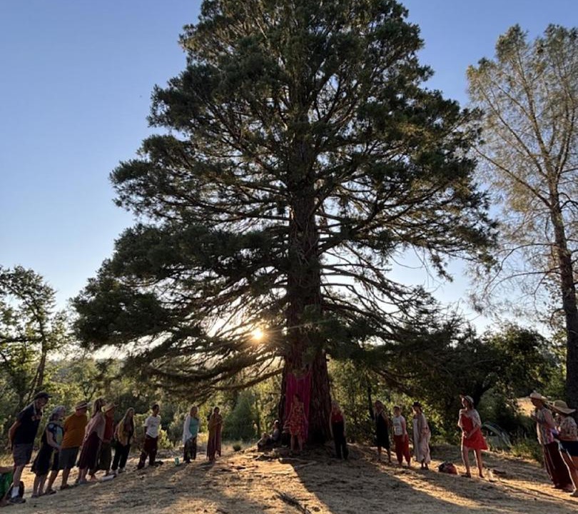 Photo of Others in North Fork