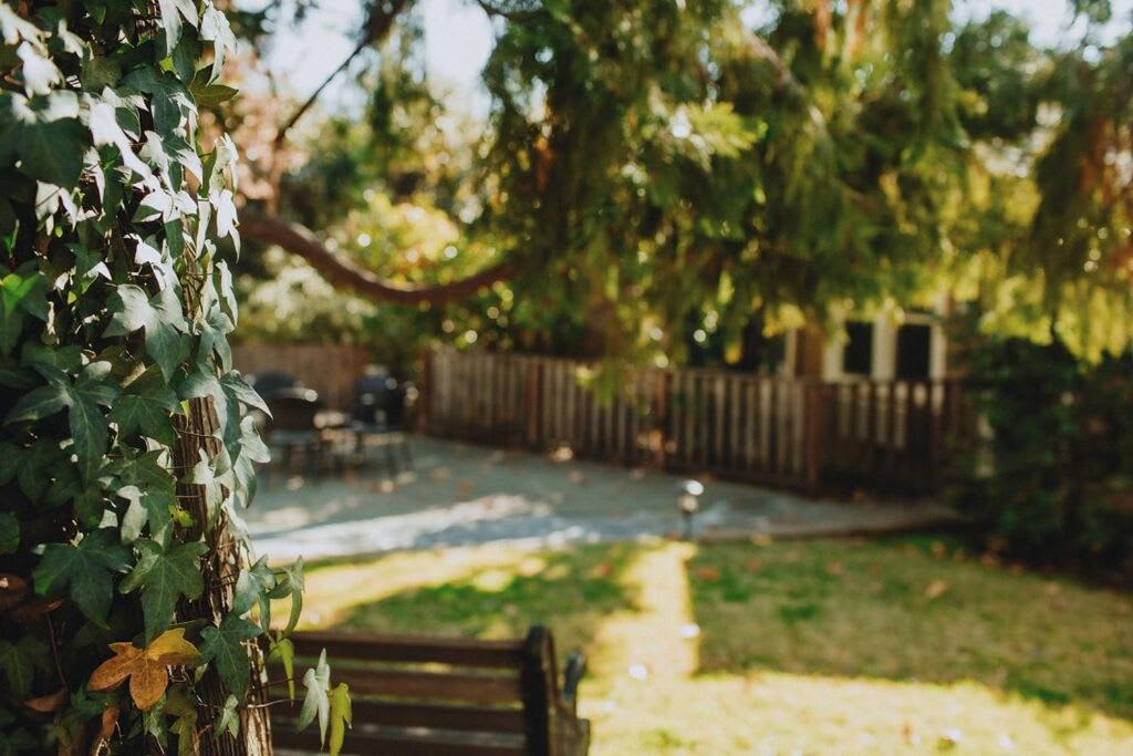Photo of Others in Mariposa