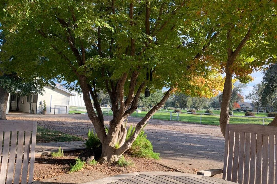 Photo of Others in Woodlake
