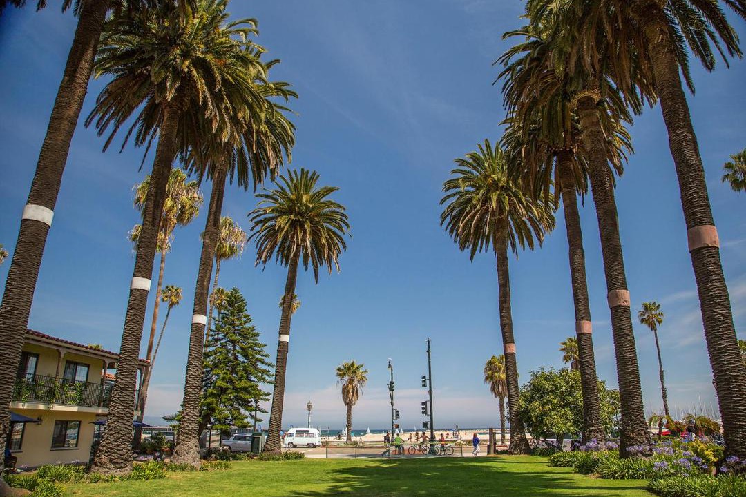 Photo of Others in West Beach