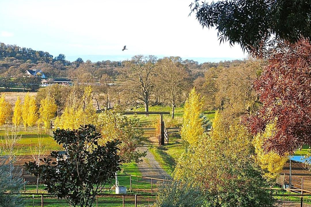 Photo of Others in Catheys Valley