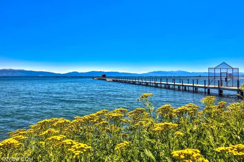 Photo of Others in Tahoe City