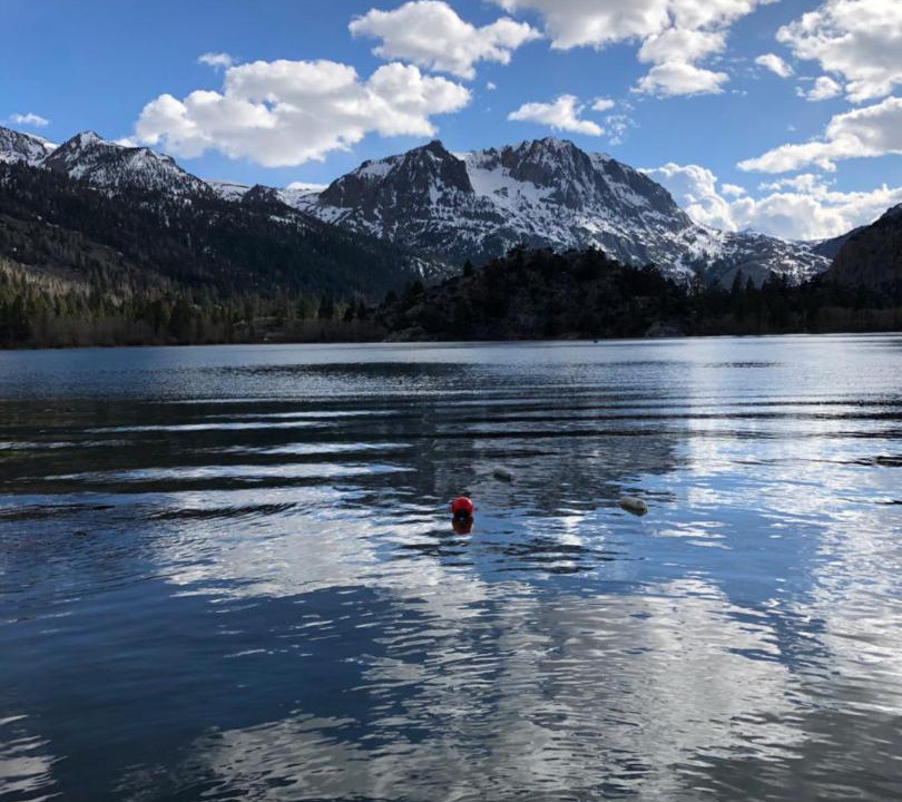 Photo of Others in June Lake
