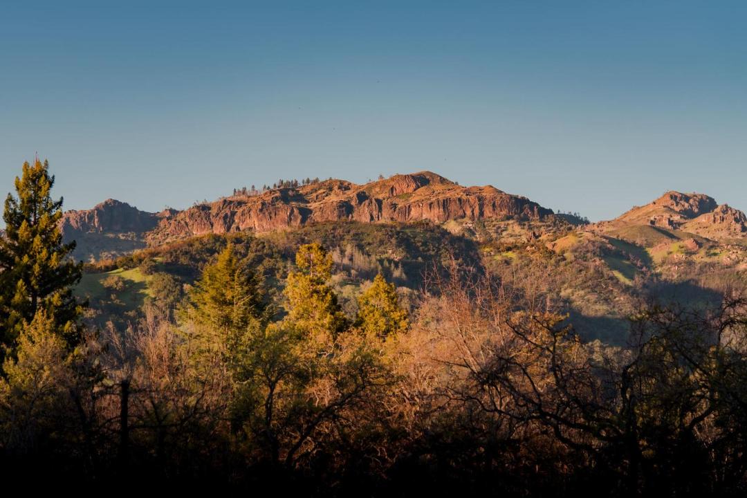 Photo of Others in Calistoga