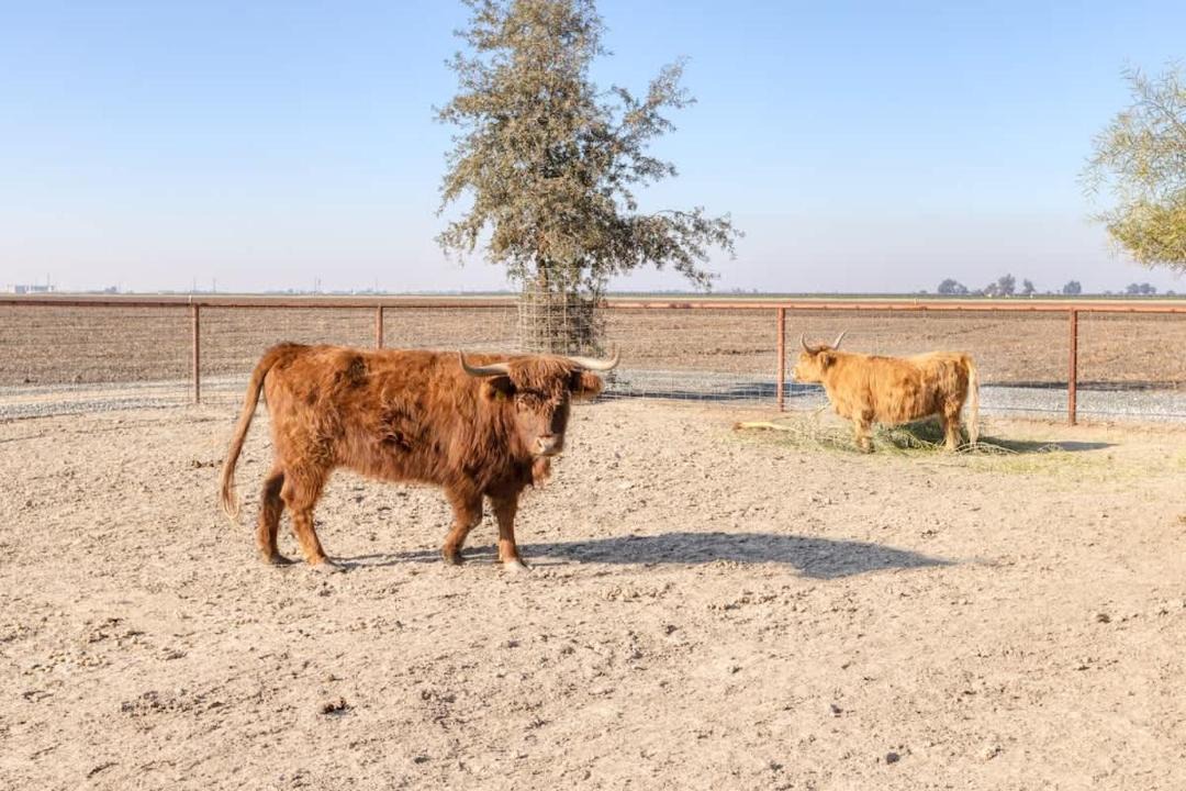 Photo of Others in Tulare