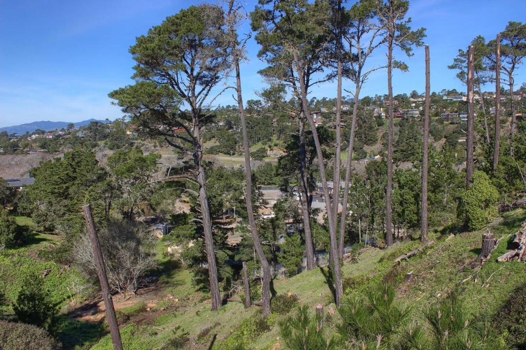 Photo of Others in Park Hill