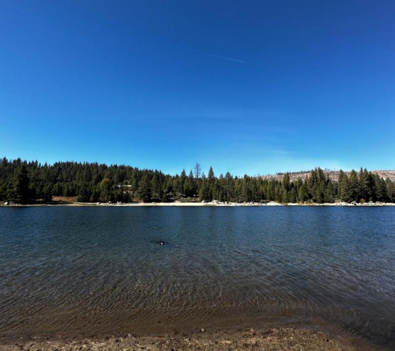 Photo of Others in Sierra Cedars