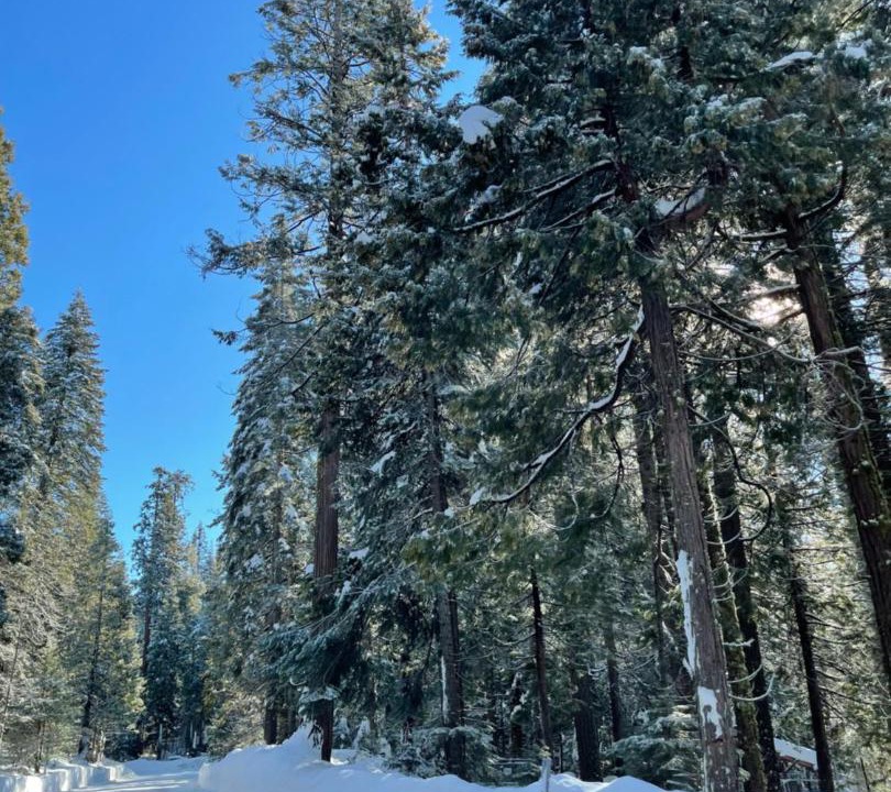 Photo of Others in Sierra Cedars