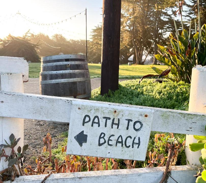 Photo of Others in San Simeon