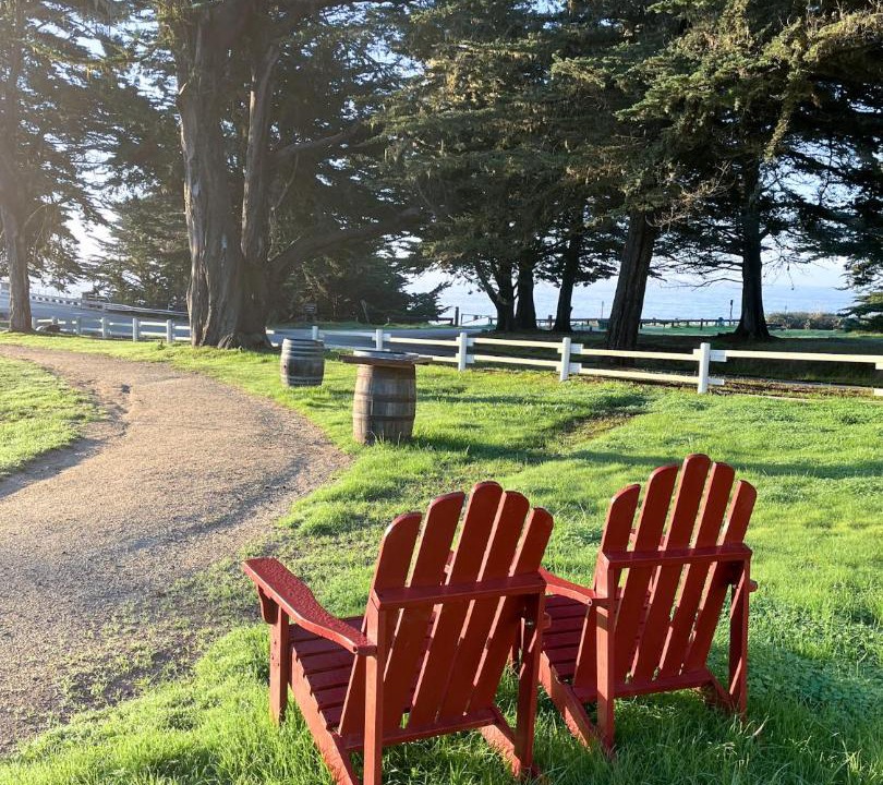 Photo of Others in San Simeon