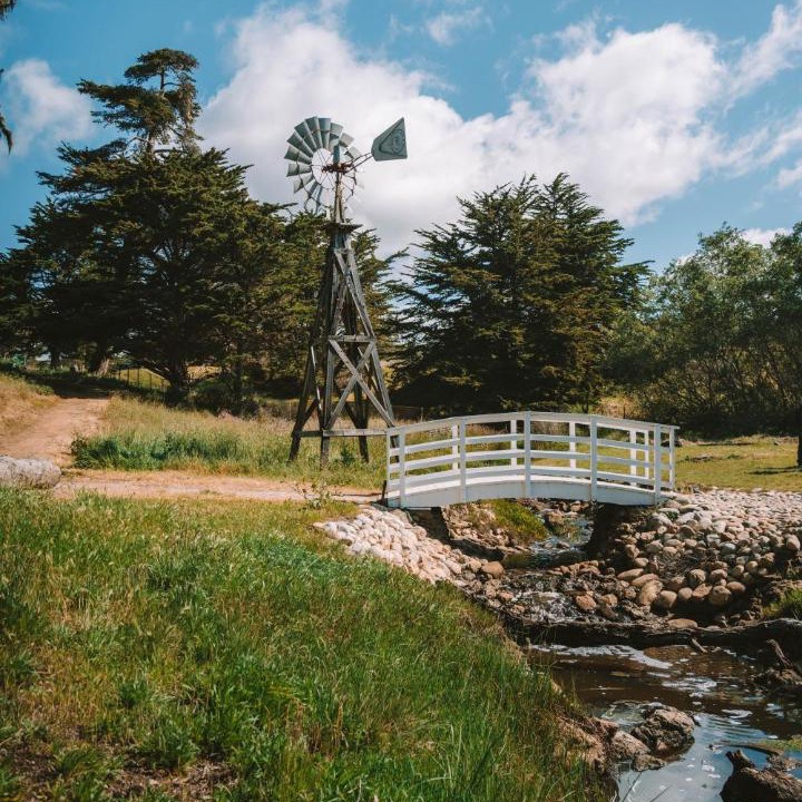 Photo of Others in San Simeon
