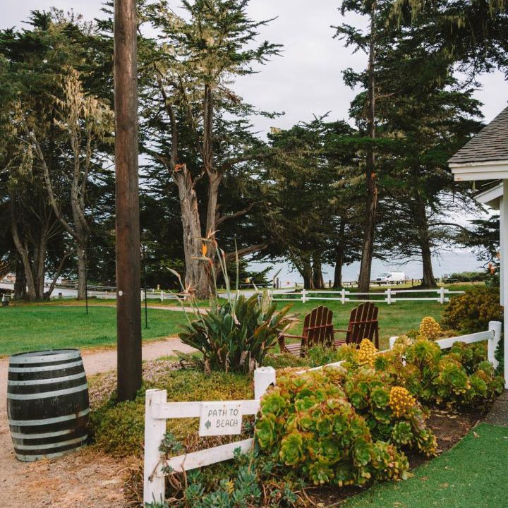 Photo of Others in San Simeon