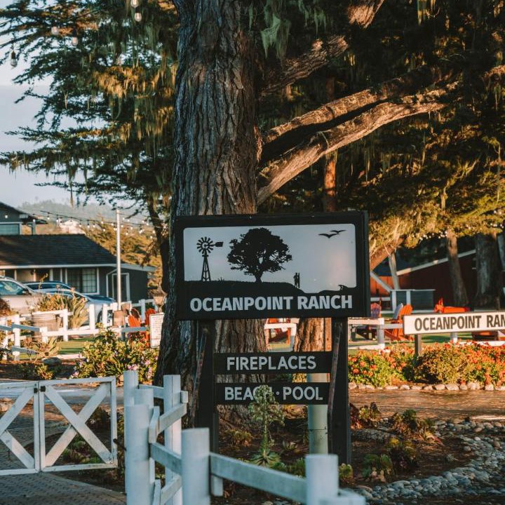 Photo of Others in San Simeon