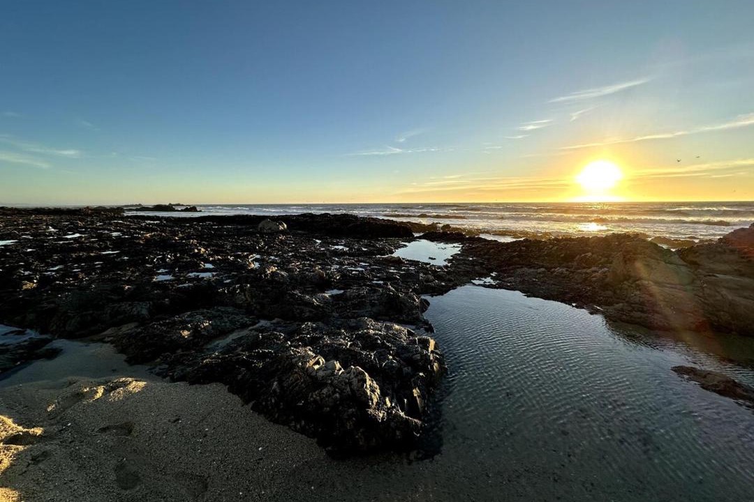 Photo of Others in Half Moon Bay