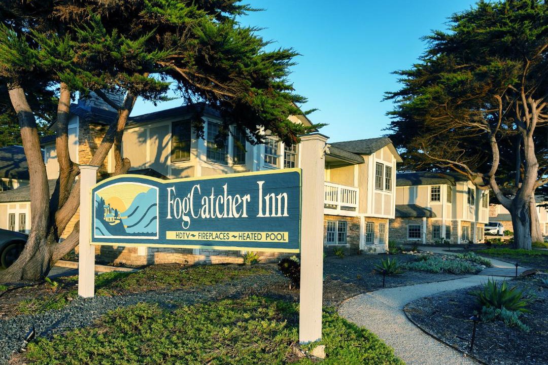 Photo of Others in San Simeon
