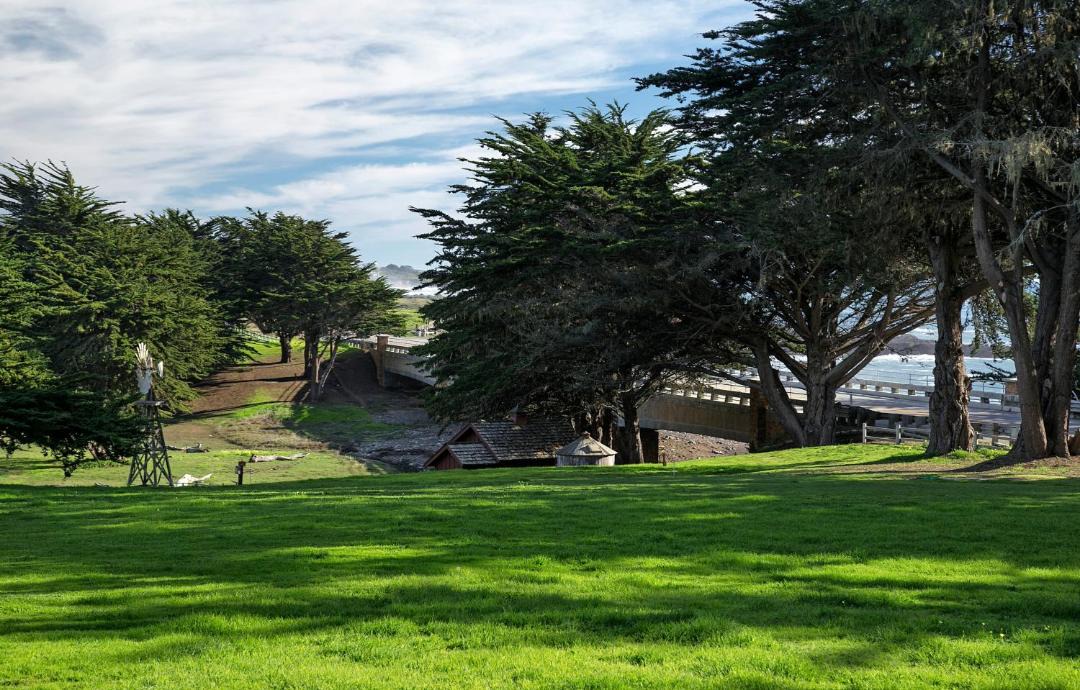Photo of Others in San Simeon