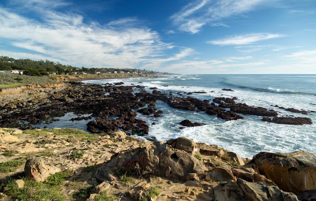 Photo of Others in San Simeon