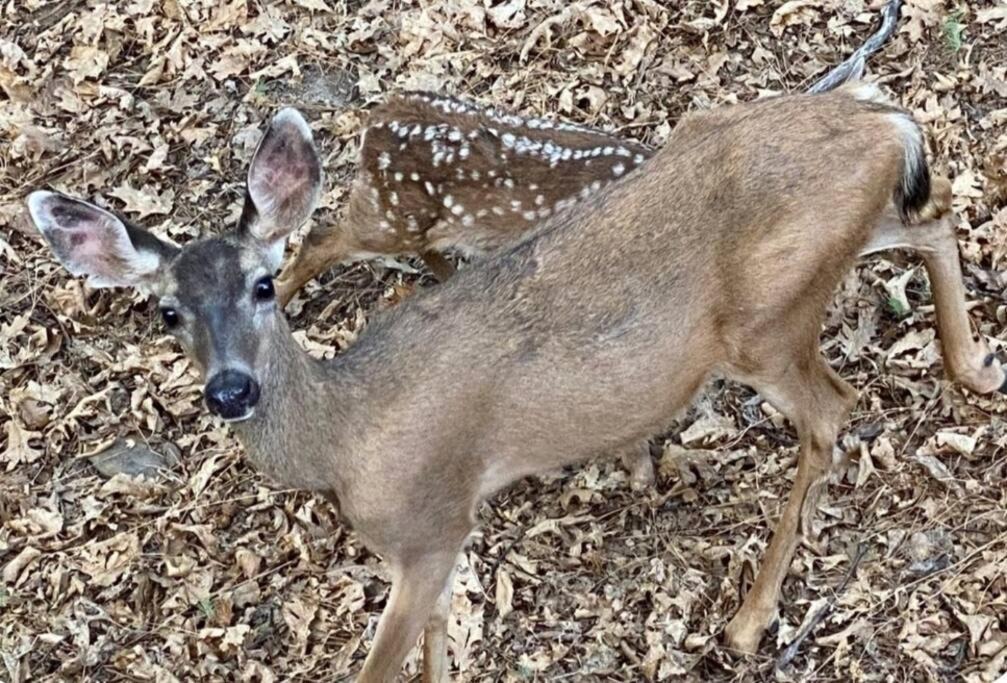 Photo of Others in Groveland