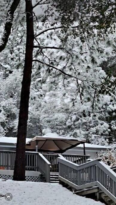 Photo of Others in Groveland