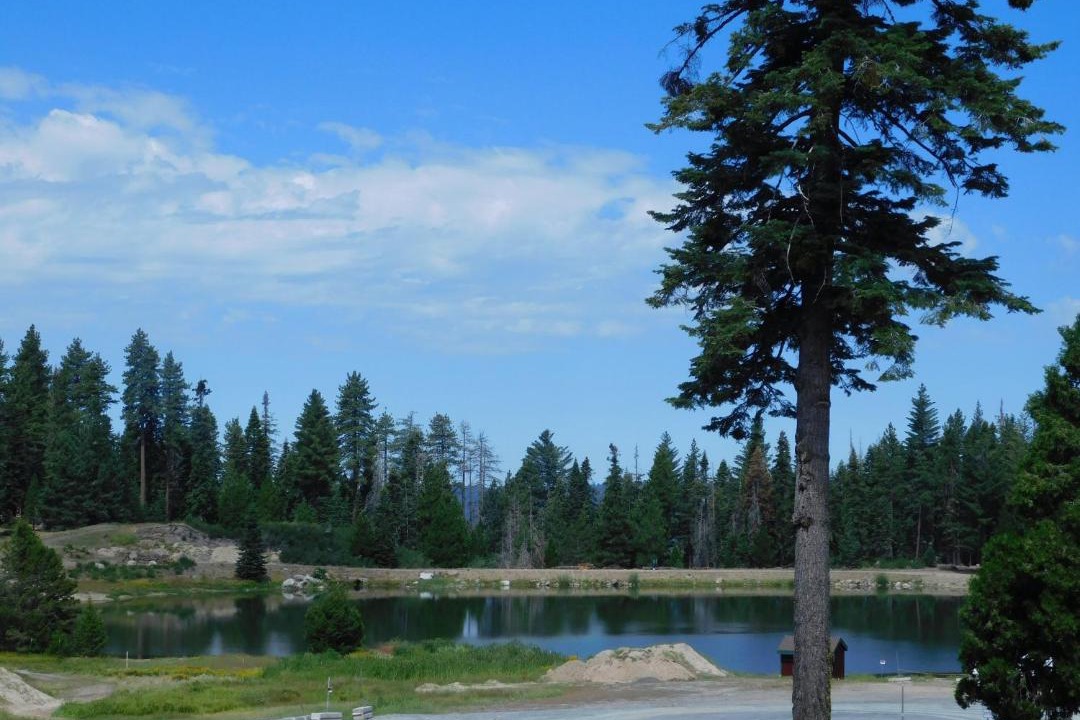 Photo of Outdoor in Pinecrest