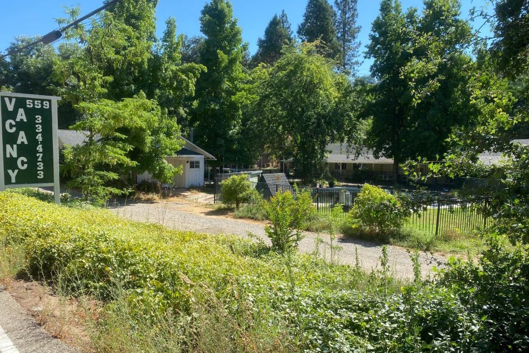 Photo of Others in Kaweah