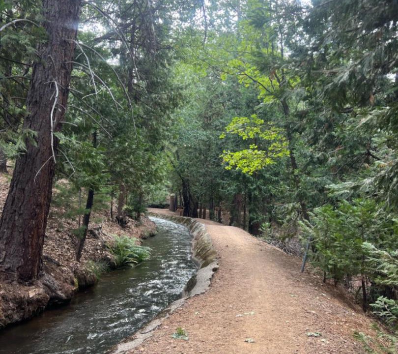 Photo of Others in Tuolumne County
