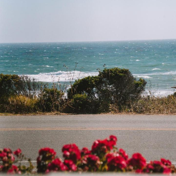 Photo of Others in San Simeon