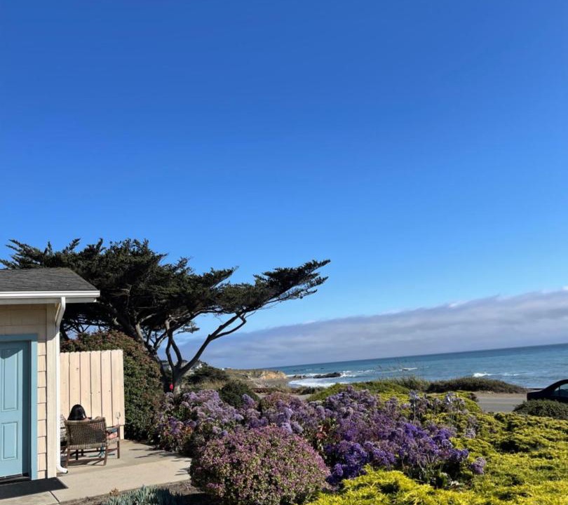 Photo of Others in San Simeon