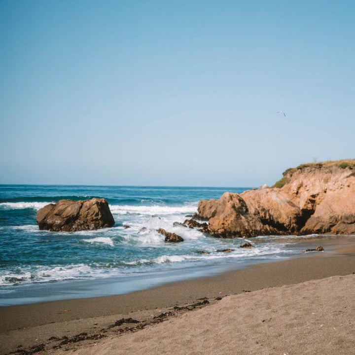 Photo of Others in San Simeon